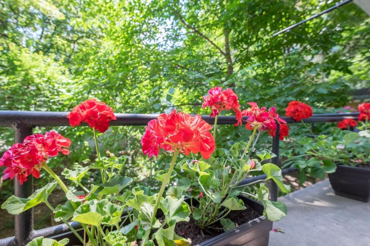 Your Perfect Place To On Vitosha Str Апартамент София